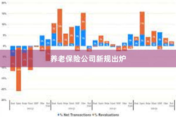 养老保险公司新规出炉