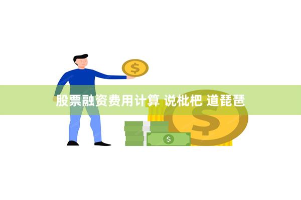 股票融资费用计算 说枇杷 道琵琶