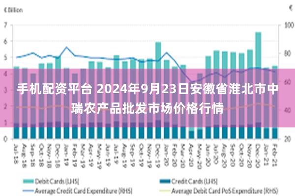 手机配资平台 2024年9月23日安徽省淮北市中瑞农产品批发市场价格行情