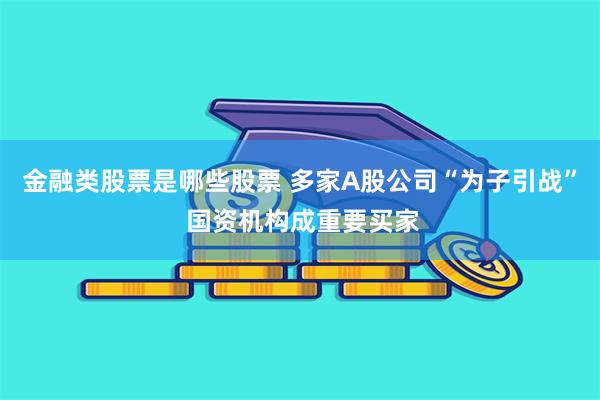 金融类股票是哪些股票 多家A股公司“为子引战” 国资机构成重要买家