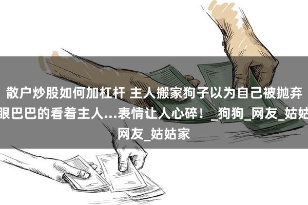 散户炒股如何加杠杆 主人搬家狗子以为自己被抛弃，眼巴巴的看着主人...表情让人心碎！_狗狗_网友_姑姑家